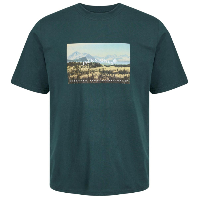 Jack&Jones T-Shirt mit Foto-Print